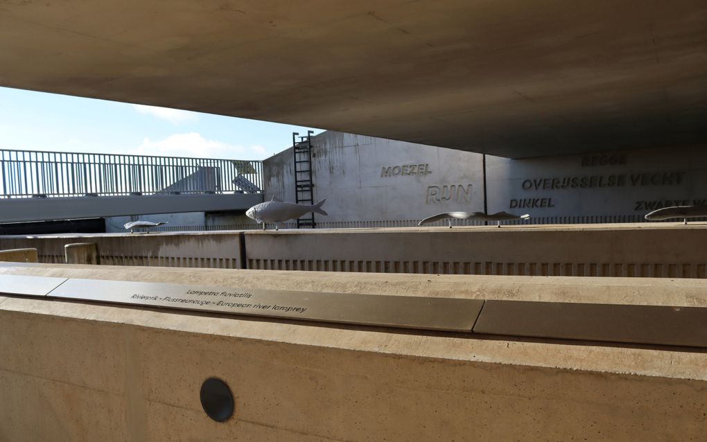 Betonnen wanden met daarop metalen vissen op een standaard. De betonnen achterwand draagt de namen waar deze vissen voorkomen.