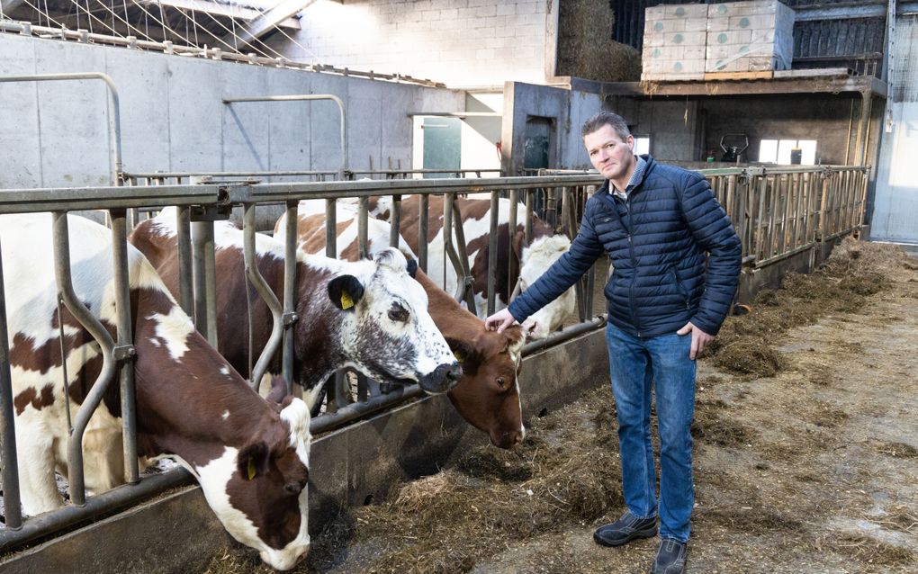 Melkveehouder Koos van der Wind huurt extra land, waarmee hij voorkomt dat hij mest tegen hoge kosten moet afvoeren. beeld RD, Anton Dommerholt