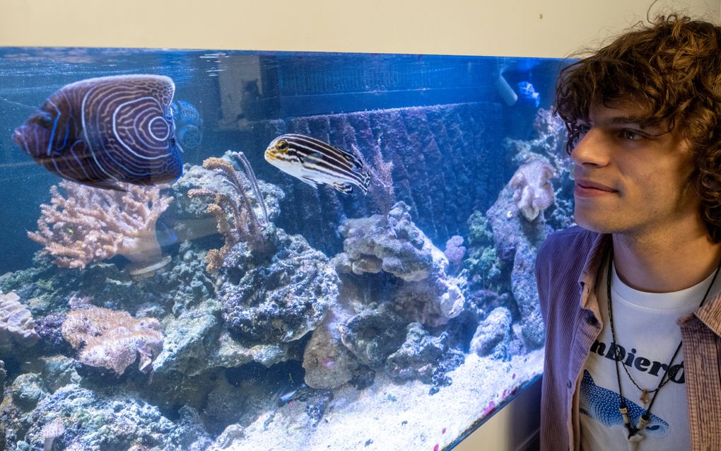 Borsselse natuurliefhebber ontdekt nieuwe vissoort in de Noordzee