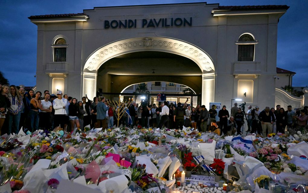 Bloemenzee met mer erachter mensen. Op de achtergrond een gebouw met de naam Bondi Pavilion.
