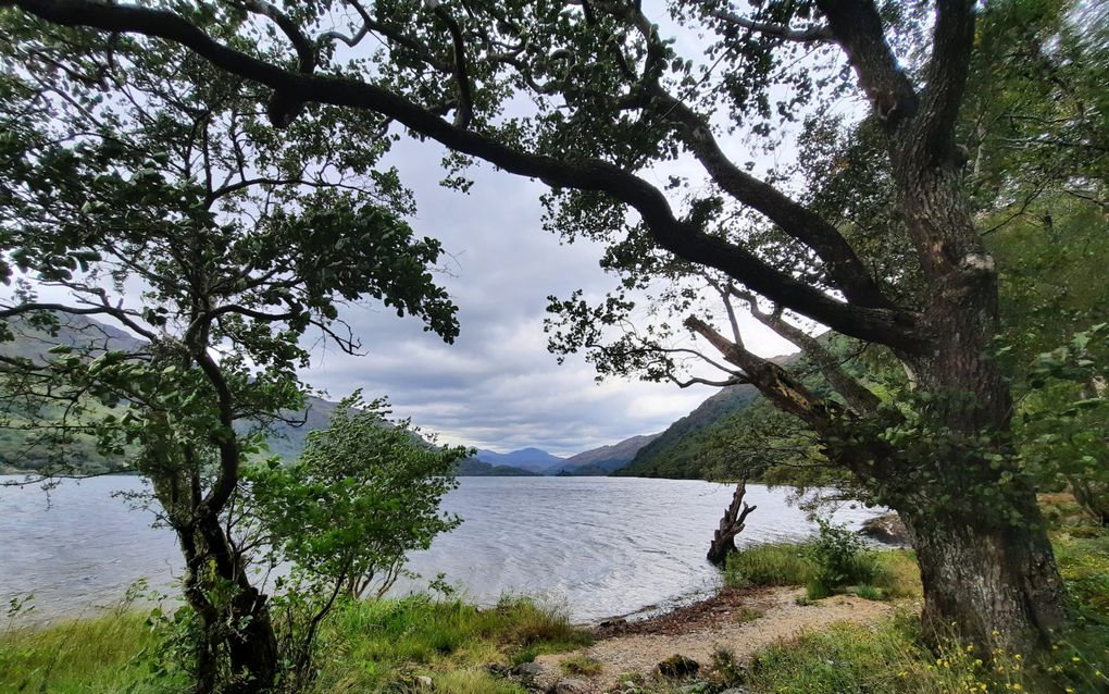 Een meer met op de voorgrond struikjes en bomen, een klein strandje en in de verte heuvelachtig gebied.