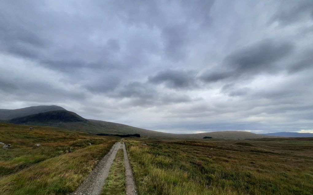 Steenachtig pad omringd door gras en heide en een grijze lucht.