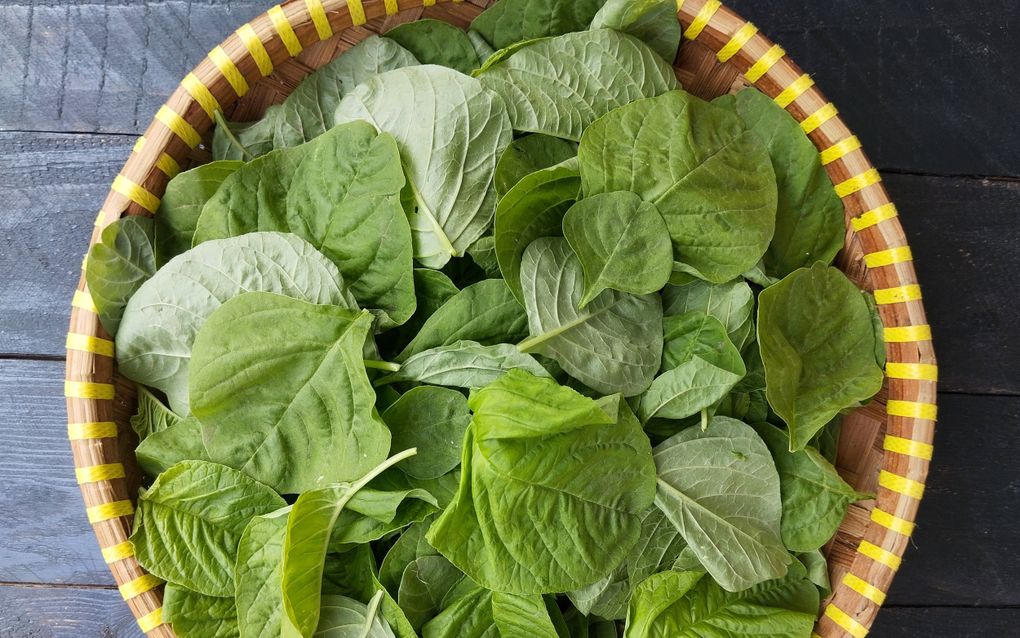 Spinazieblad in een gevlochten, ronde mand,