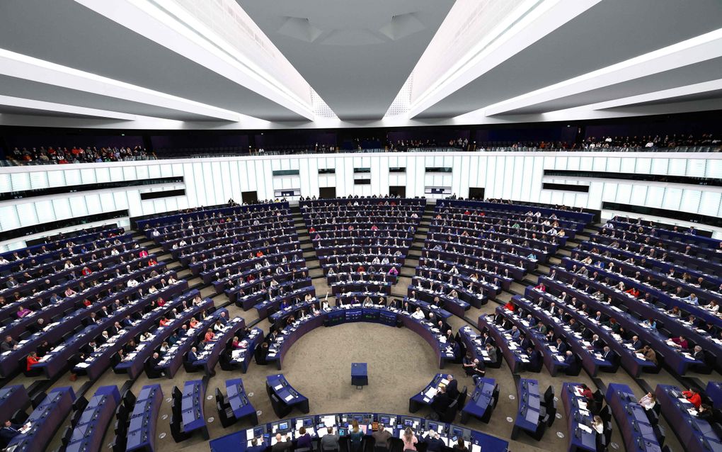 De plenaire zaal van het Europees Parlement in Straatsburg, waar twaalf keer per jaar wordt vergaderd. beeld AFP, Frederick Florin