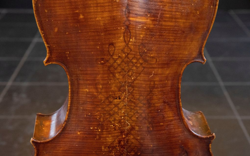 Een foto van de achterkant van een cello.