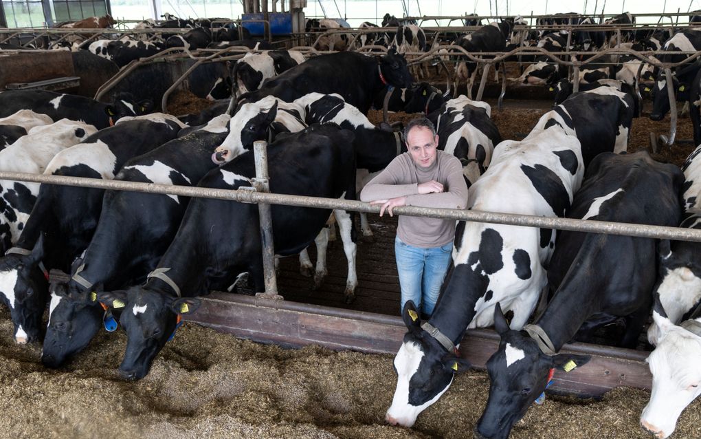 Melkveehouder Teunis van 't Land in Haaften kampt met een overvolle mestopslag. beeld RD, Anton Dommerholt