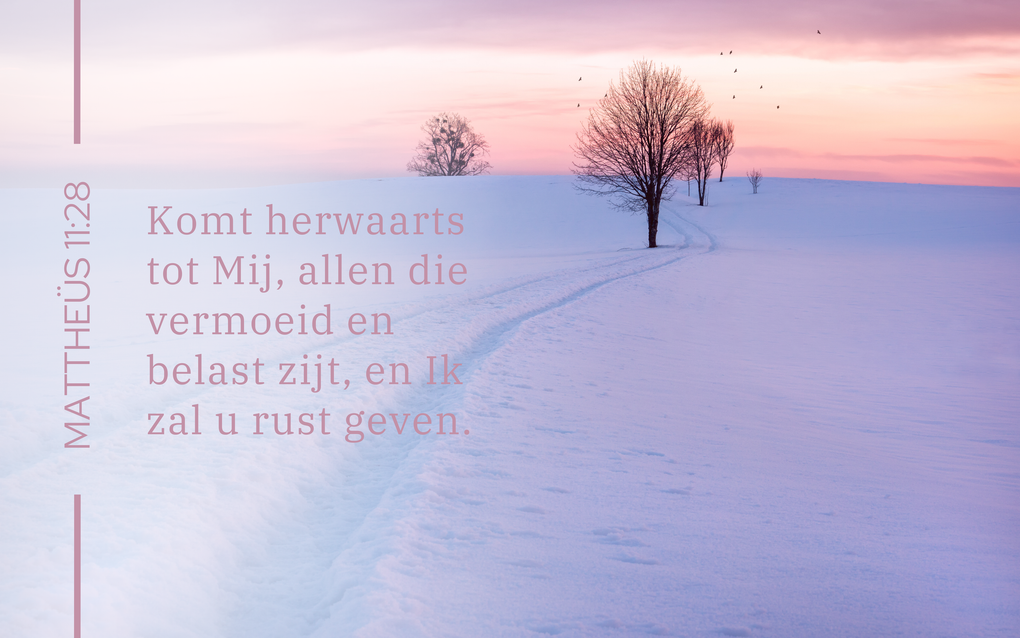 Een rustig sneeuwlandschap met een roze lucht erboven. Daar overheen staat de tekst uit Mattheüs 11:28.