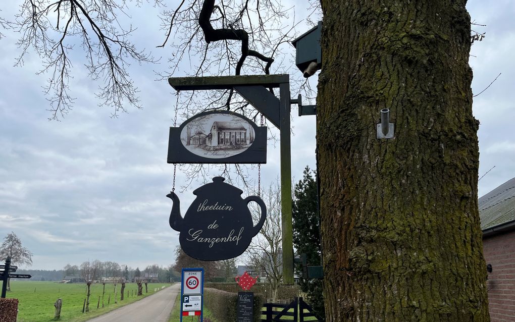 Uithangbord in de vorm van een theepot aan een boom bij een theetuin.