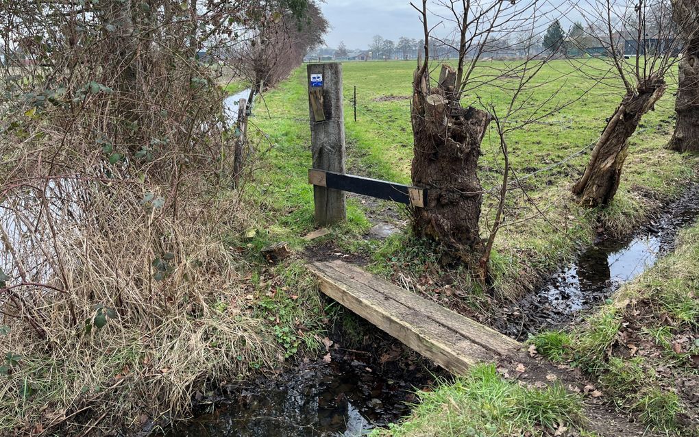Een houten plank over een sloot met aan de overzijde een voetpad langs weideland.