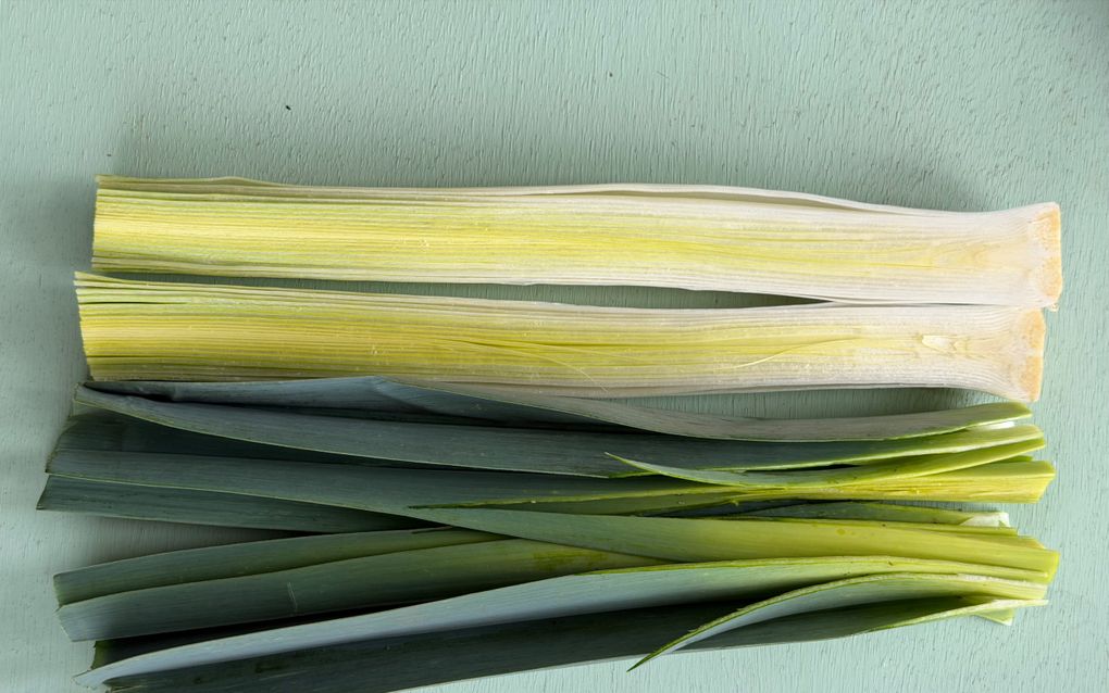 In de lengte doorgesneden preien op een lichtgroene ondergrond.