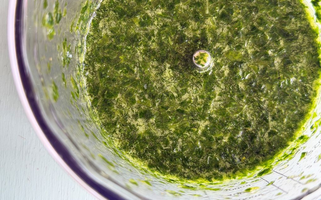 In een witte schaal met een paarse rand bevindt zich een groene saus.