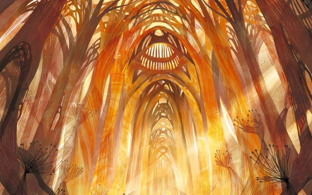 Tekening van een kathedraal van bomen waardoorheen zonlicht valt. Er zijn twee silhouetten van mensen te zien. 