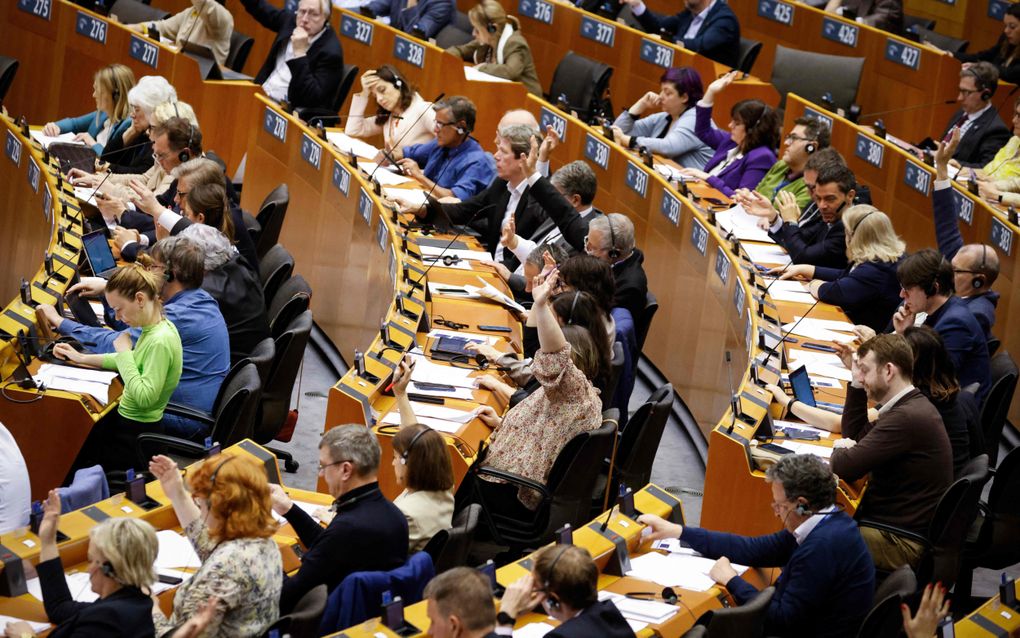 Een stemming in het Europees Parlement in Brussel. beeld AFP, Kenzo Tribouillard