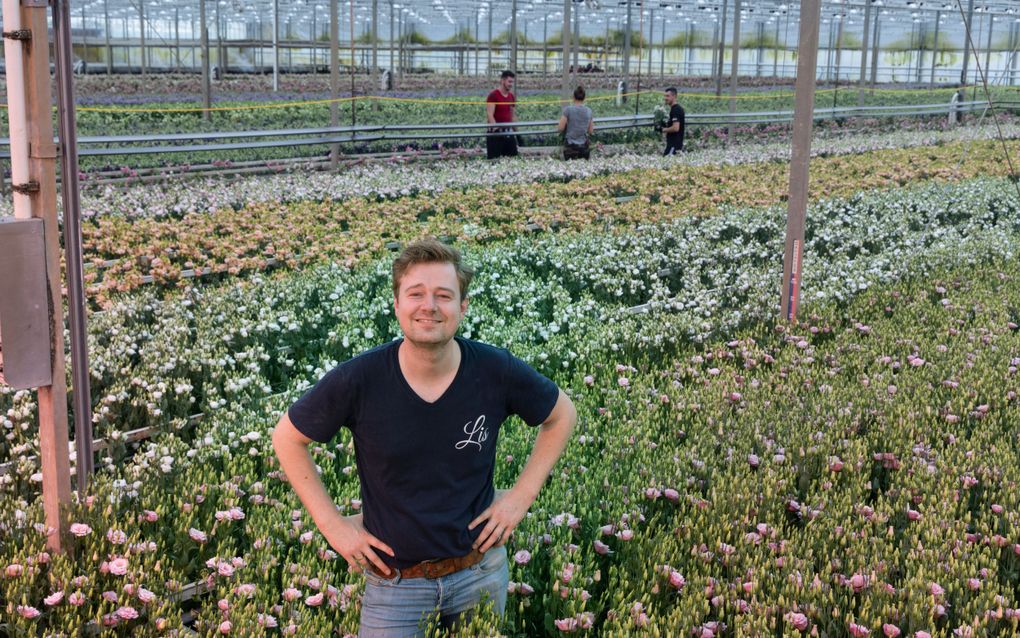 Jelle Pippel kweekt in zijn kassen miljoenen lisianthussen. beeld RD, Anton Dommerholt