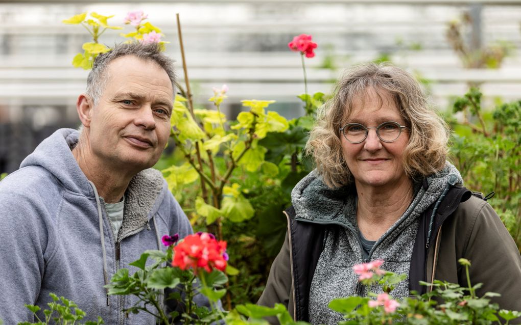 De verrassing achter de geraniums