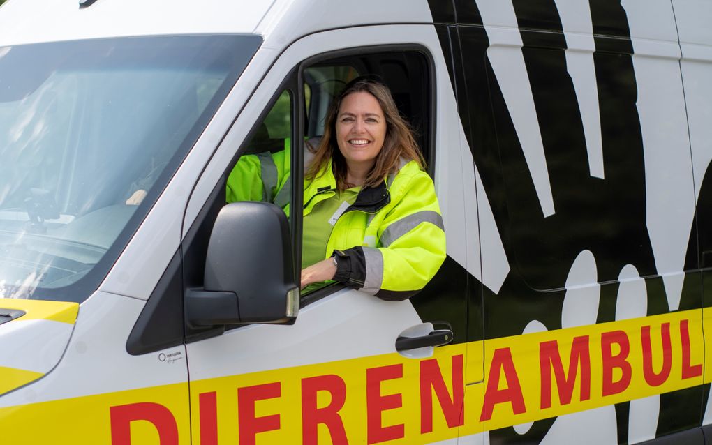 Nancy Groeneveld in haar dierenambulance. beeld Mirjan Bunskoek