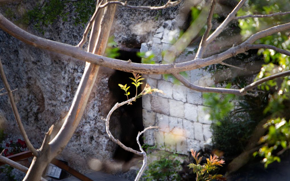 Grafruimte van witte stenen met een opening. Op de voorgrond een paar takken in beeld, met jong groen.