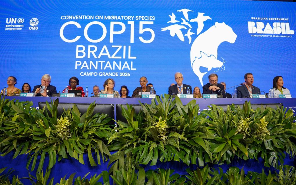 Een lange tafel met daaraan verschillende mensen. Op de achtergrond een felblauwe wand, voor de tafel veel groene plantensoorten.