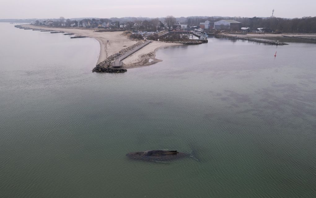 Luchtfoto van kustwater, met op de voorgrond een meterslange bultrug.