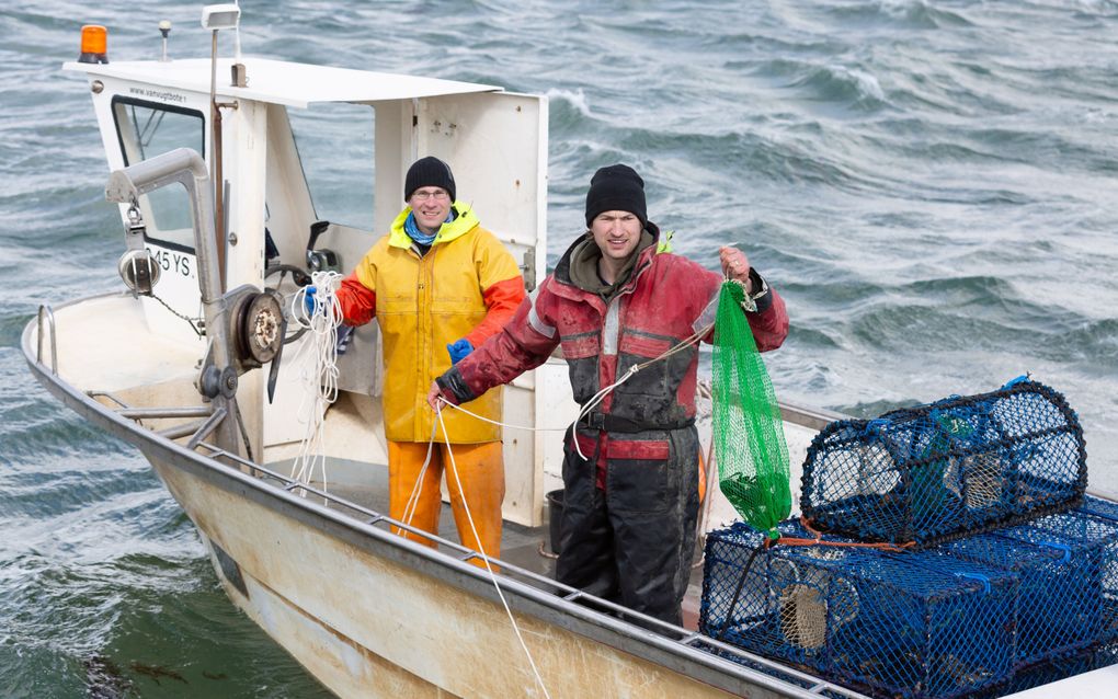 Kreeftenvisserij op de Oosterschelde. beeld Scherp! Fotografie,  Angela Verdam