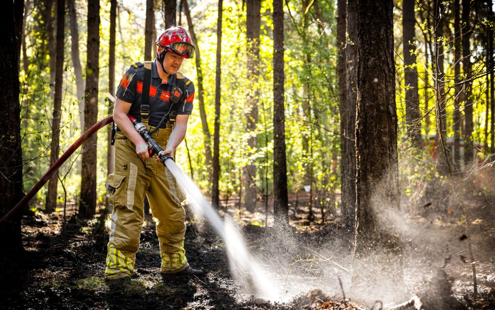 Een brandweerman met een rode helm op spuit water op dampende bosgrond. 