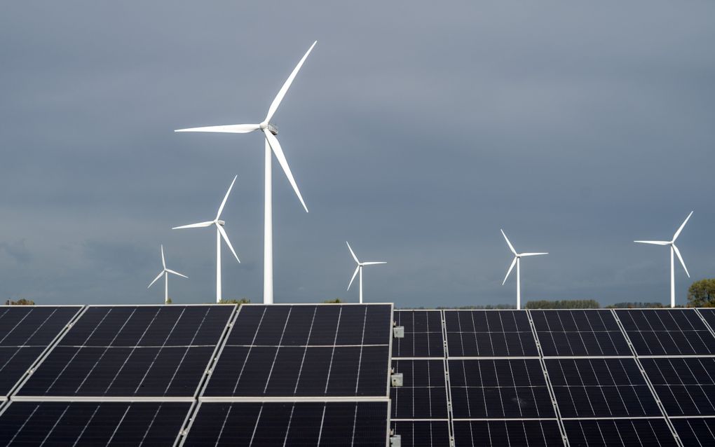 Zonnepanelen in een zonnepark in Terneuzen. beeld ANP, Jeroen Jumelet