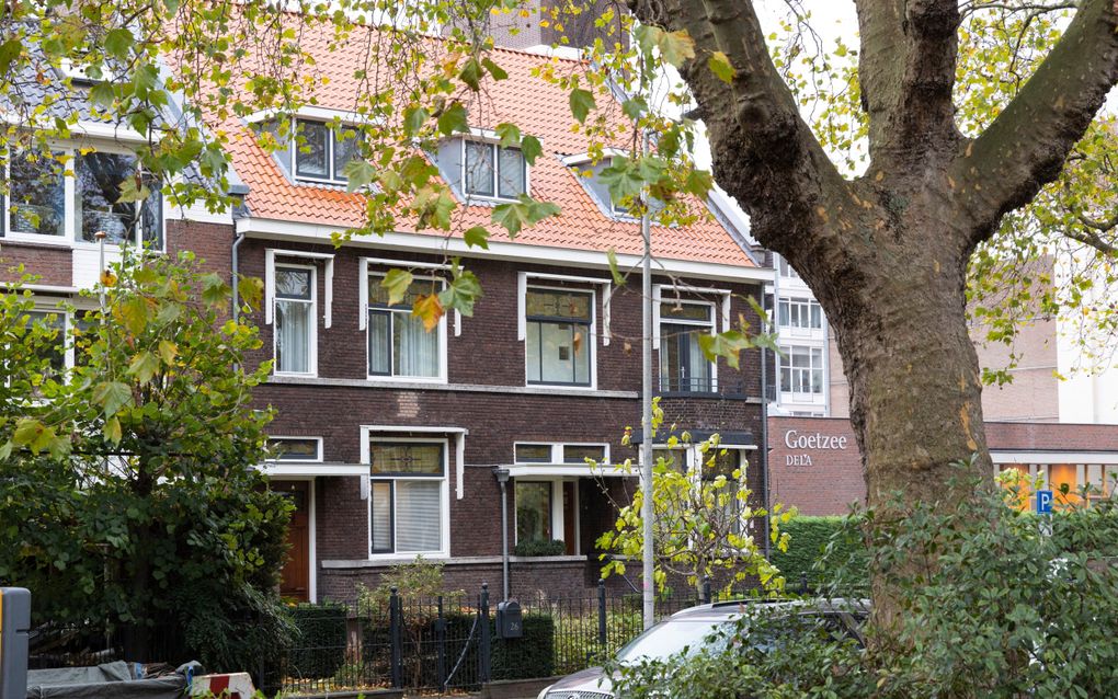 Jarendertigpand achter een boom.