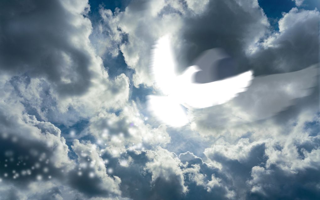Wolkenlucht met een witte duif.