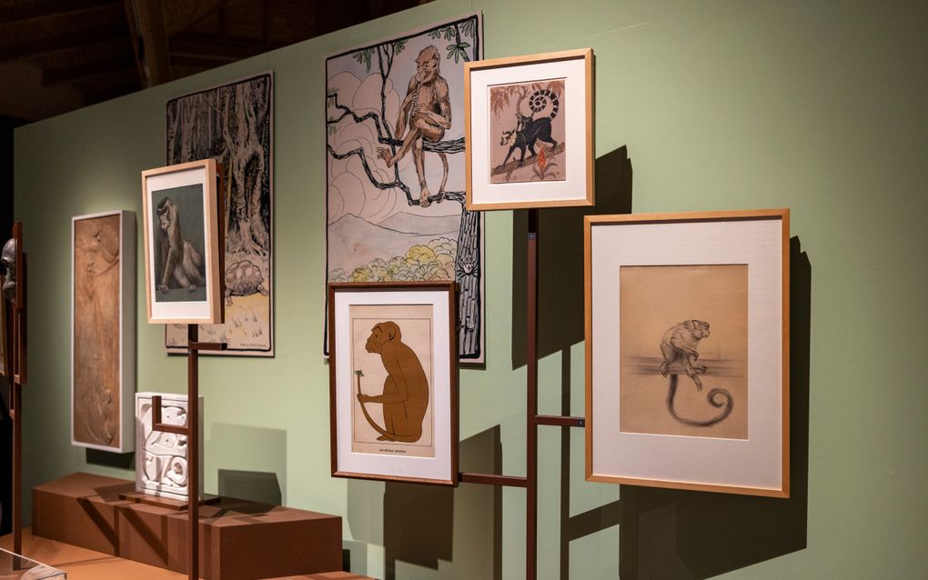 Dierenrijk in art nouveau te zien in Eelde