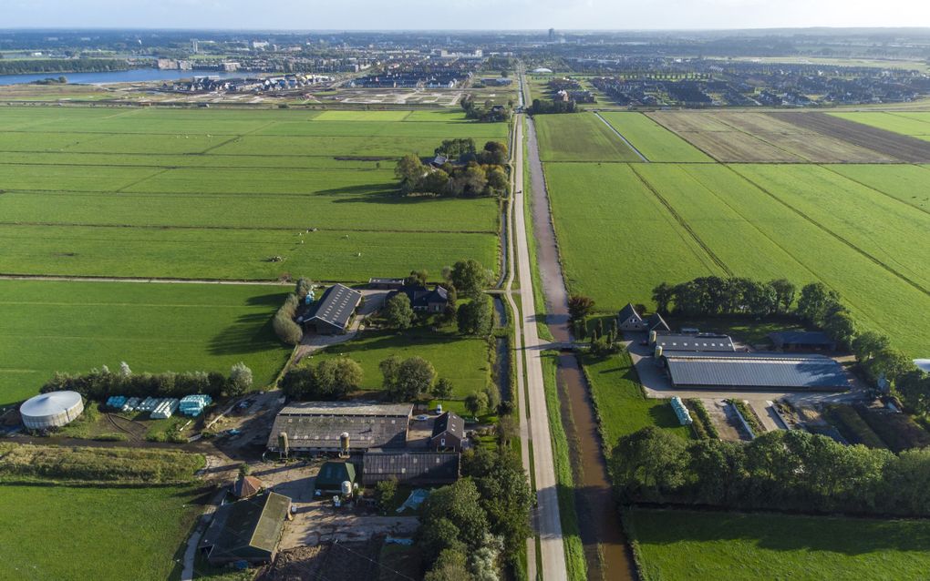 Natte polder Mastenbroek is wens en schrikbeeld: „Waterboeren staat voor mij gelijk aan boeren in ar