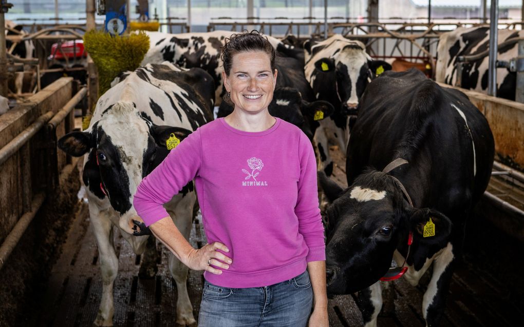 Een vrouw in roze trui en spijkerbroek staat tussen zwartbonte koeien in een stal.