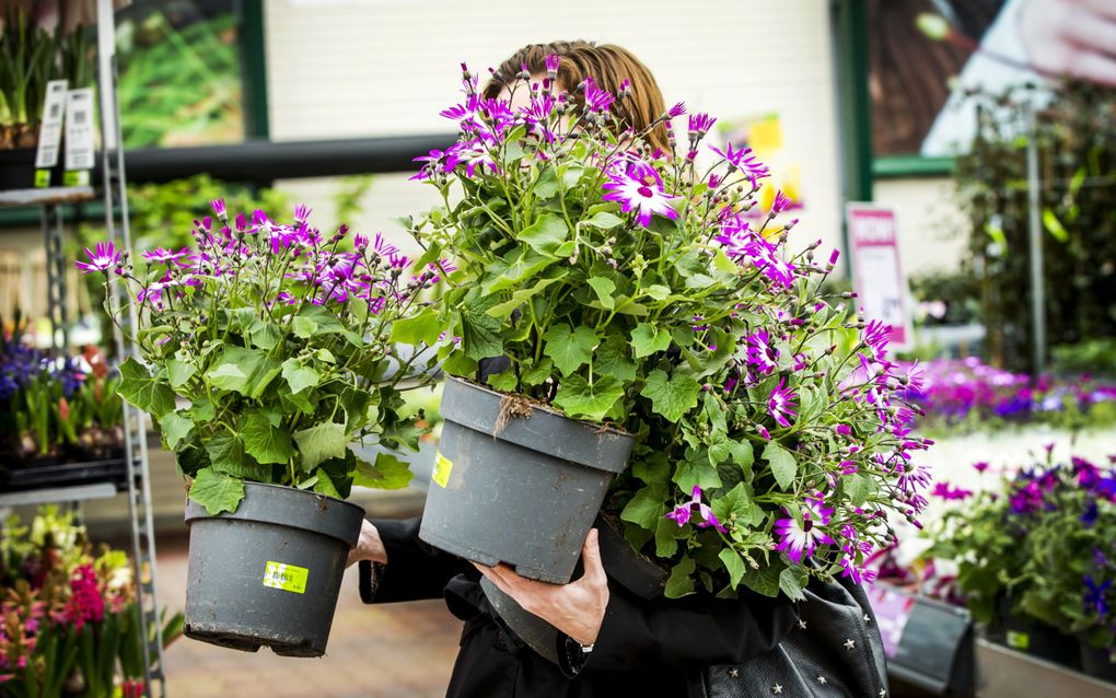 Bloemenwinkel. Nederland kreeg er vorig jaar winkels bij, maar in sommige branches daalde het aantal zaken, waaronder bloemenwinkels, dierenwinkels en tuincentra. beeld ANP, Remko de Waal