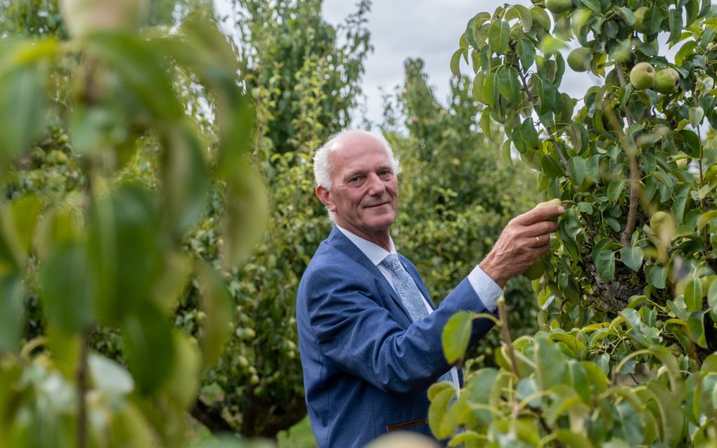 Vrachtwagens laden in zijn nette pak: fruitteler Adrie van der Maas stopt na 24 jaar als SGP-wethoud