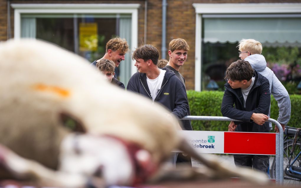 Aangifte om dood schaap en dreigtekst bij gemeentehuis Oldebroek