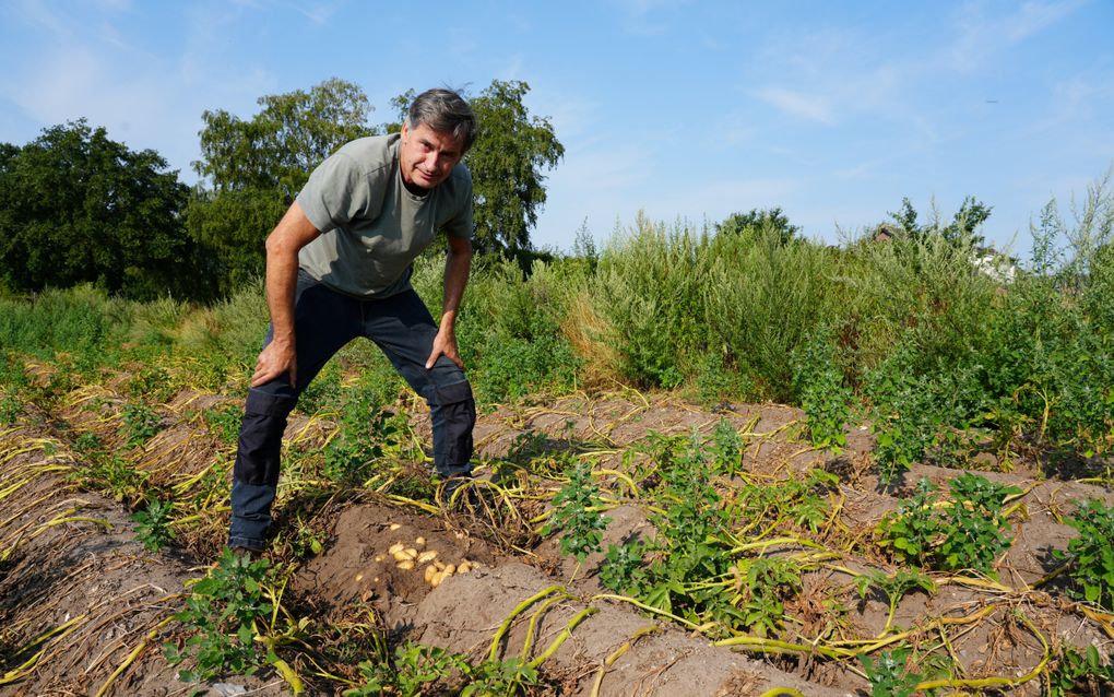 Ondanks droogte verwacht akkerbouwer Jaap van Wenum uit Kootwijkerbroek financieel een goed jaar