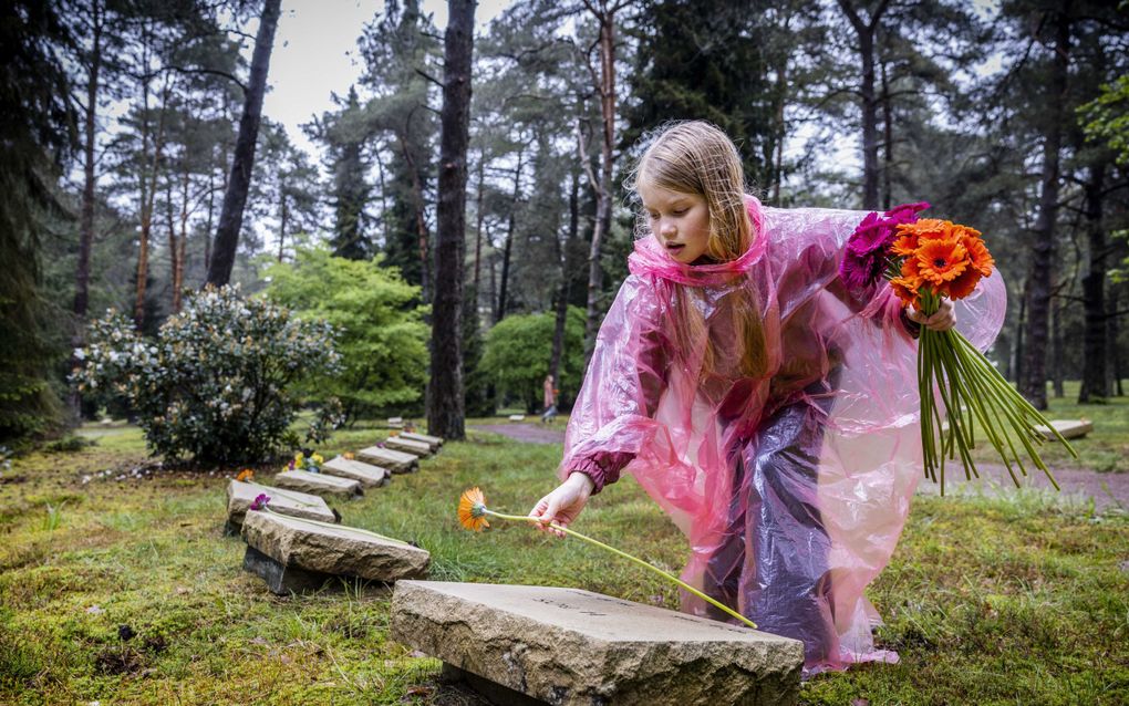 Kinderen leggen gerbera’s op graven op Nationaal Ereveld Loenen. Op de begraafplaats wordt elk jaar op 4 mei een dodenherdenking gehouden. beeld ANP, Remko de Waal