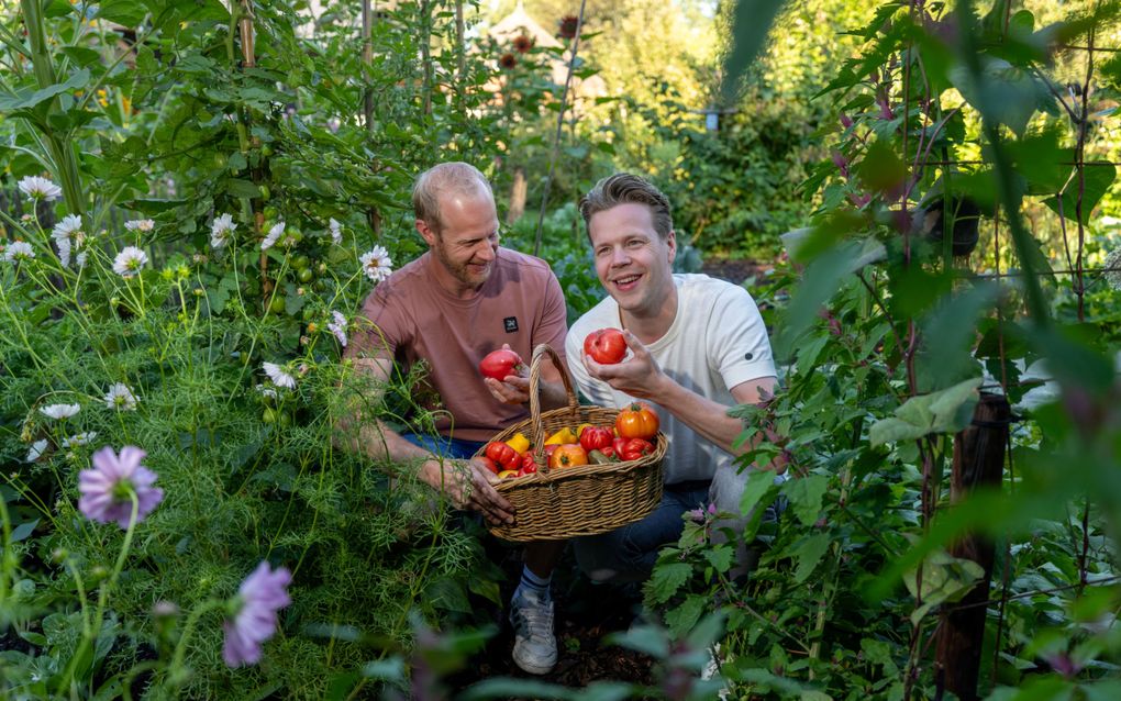 Staphorster broers komen met lokale moestuinmarktplaats: „Ontwennen dat groente en fruit perfect gev