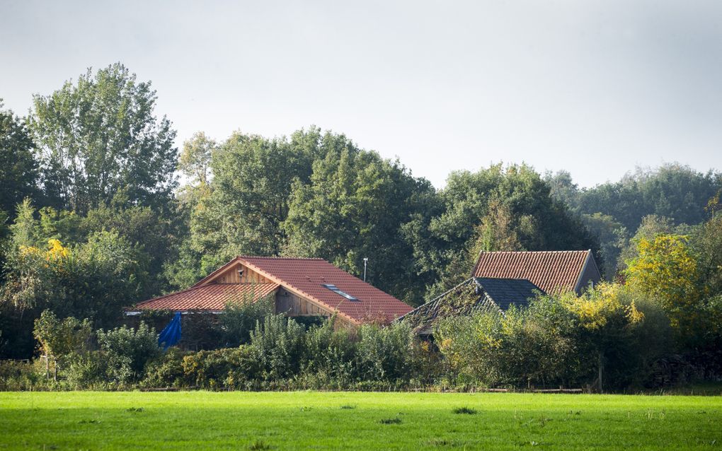 Israel van Dorsten Urges Dutch Parliament to Improve Sect Abuse Support