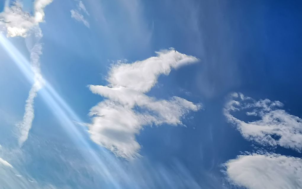 „Geleid en gesterkt door de Geest van Pinksteren dienen we het leven van de toekomst te leven en mogen we ons niet conformeren aan de tijdgeest.” beeld iStock