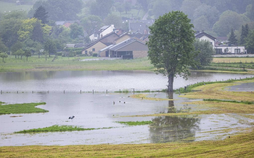 De Geul bij Wijlre. Campinggasten hebben hun kampeerplek in het Limburgse dorp Etenaken verlaten om dreigende wateroverlast. beeld ANP Marcel van Hoorn 