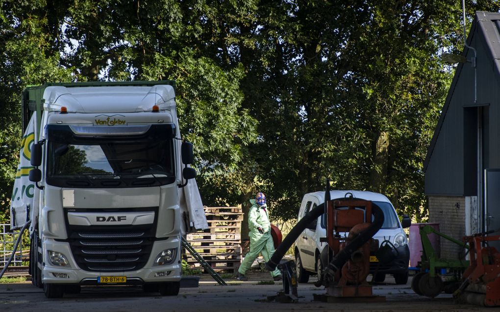 Ruiming van een pluimveehouderij die besmet is met vogelgriep, zomer 2023. beeld ANP, Jilmer Postma