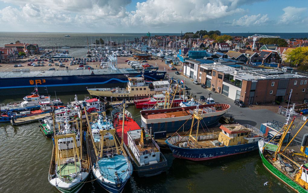 Verschillende vissersschepen liggen in de haven van Urk. Nederlandse zeevissers kijken terug op een zorgelijk 2023 met miljoenenverliezen. beeld Freddy Schinkel