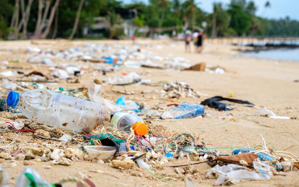 Afval op het strand. Wetenschappers vinden overal microplastics. Ze hebben ze nu ook in zaadballen aangetroffen. beeld iStock