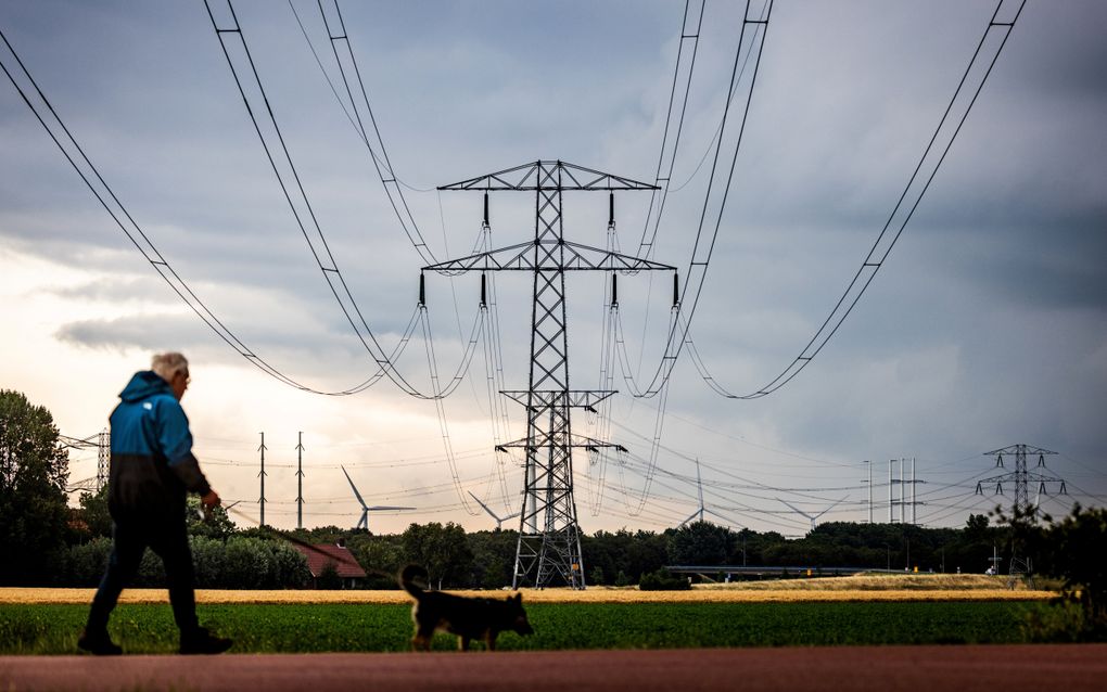 Hoogspanningsmasten van Tennet in het Zeeuwse landschap bij Rilland. beeld ANP, Jeffrey Groeneweg