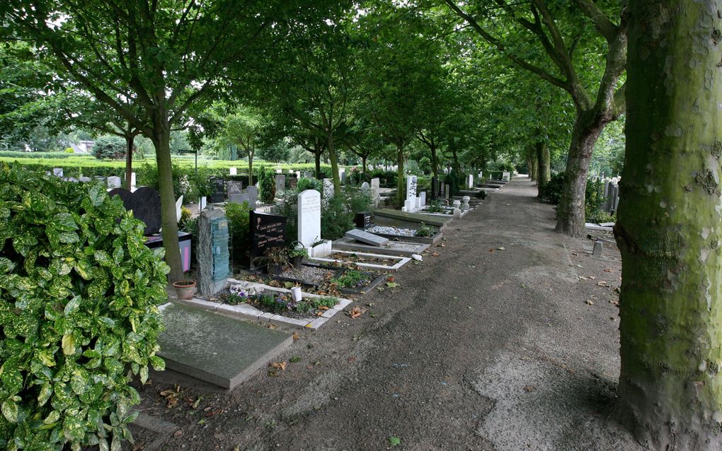 Begraafplaats Oud Eik en Duinen in Den Haag. Op het terrein liggen duizenden graven. beeld RD, Anton Dommerholt 