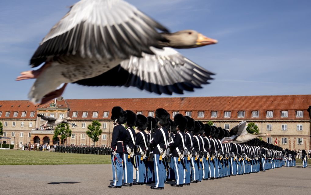 Ganzen vliegen langs een groep soldaten tijdens de jubileumparade bij The Royal Life Guards in The Life Guard Barracks in Kopenhagen. beeld EPA, Ida Marie Odgaard