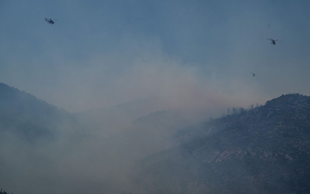 Bosbranden bij Parnitha, nabij Athene.  beeld AFP, Aris Messinis