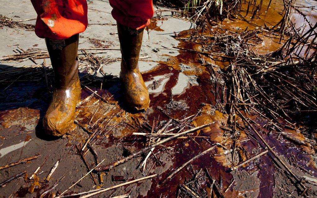 Aangespoelde olie in Louisiana. Foto EPA