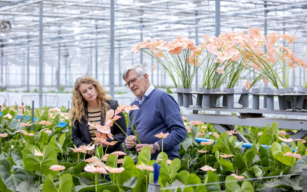 Piet van der Burg schikt bloemenzee op Sint-Pietersplein in Rome