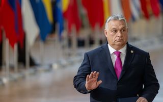 De regering van de Hongaarse premier Viktor Orban zal ook tegen de Natuurherstelwet stemmen. beeld ANP, Jonas Roosens